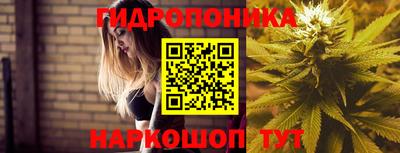 кокс Шелехов