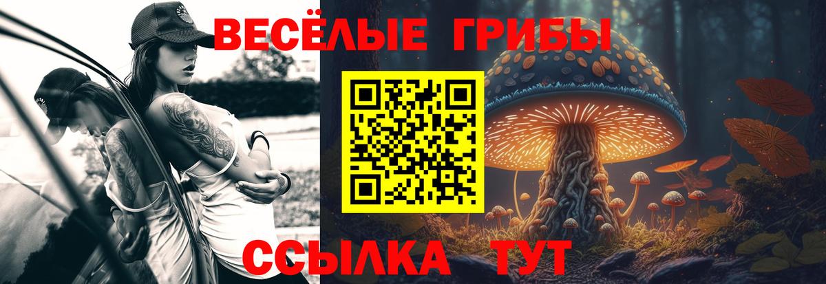 Маркс  Галлюциногенные грибы Magic Shrooms  Вход с VPN 