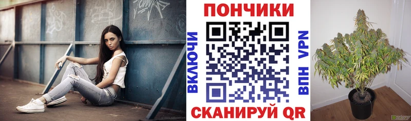 ссылка на мегу ССЫЛКА  Маркс  Конопля AK-47 